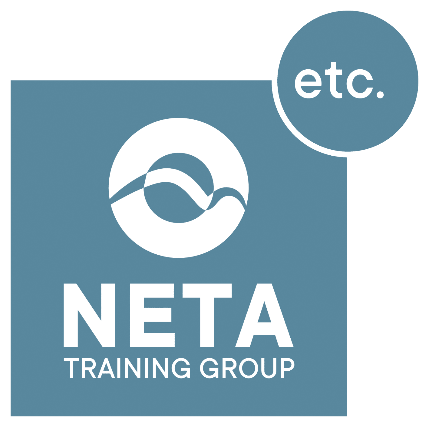 NEW NETA Logo