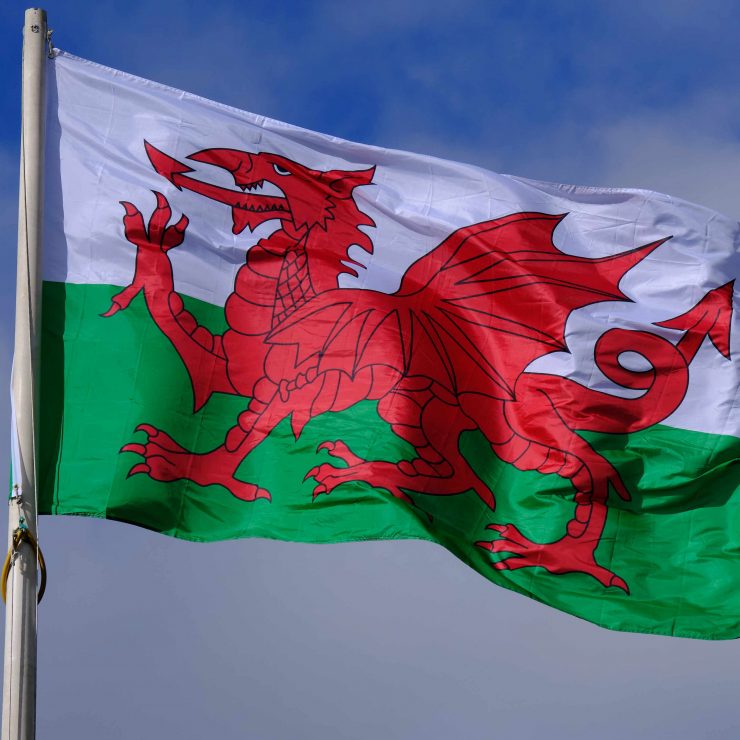 Wales Flag Scaled Aspect Ratio 740 740